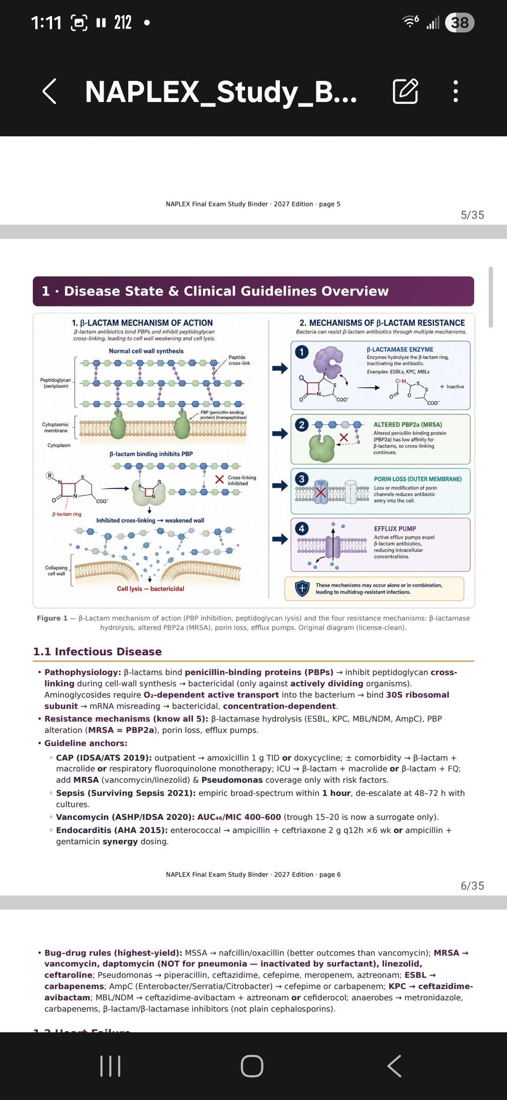 A digital study page titled NAPLEX Final Exam Study Binder 2027 Edition, page 5. It features a diagram of beta-lactam mechanism of action and resistance, followed by clinical guidelines for infectious diseases and bug-drug rules.
