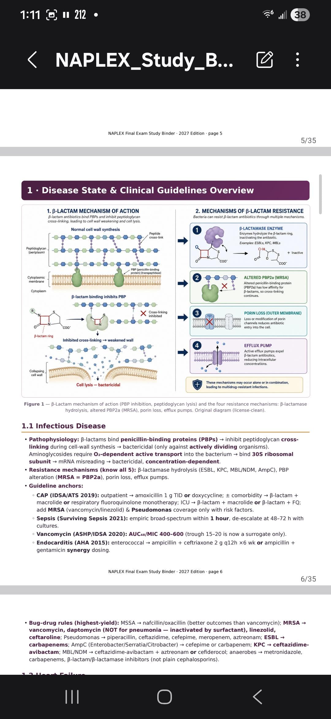 A digital study page titled NAPLEX Final Exam Study Binder 2027 Edition, page 5. It features a diagram of beta-lactam mechanism of action and resistance, followed by clinical guidelines for infectious diseases and bug-drug rules.