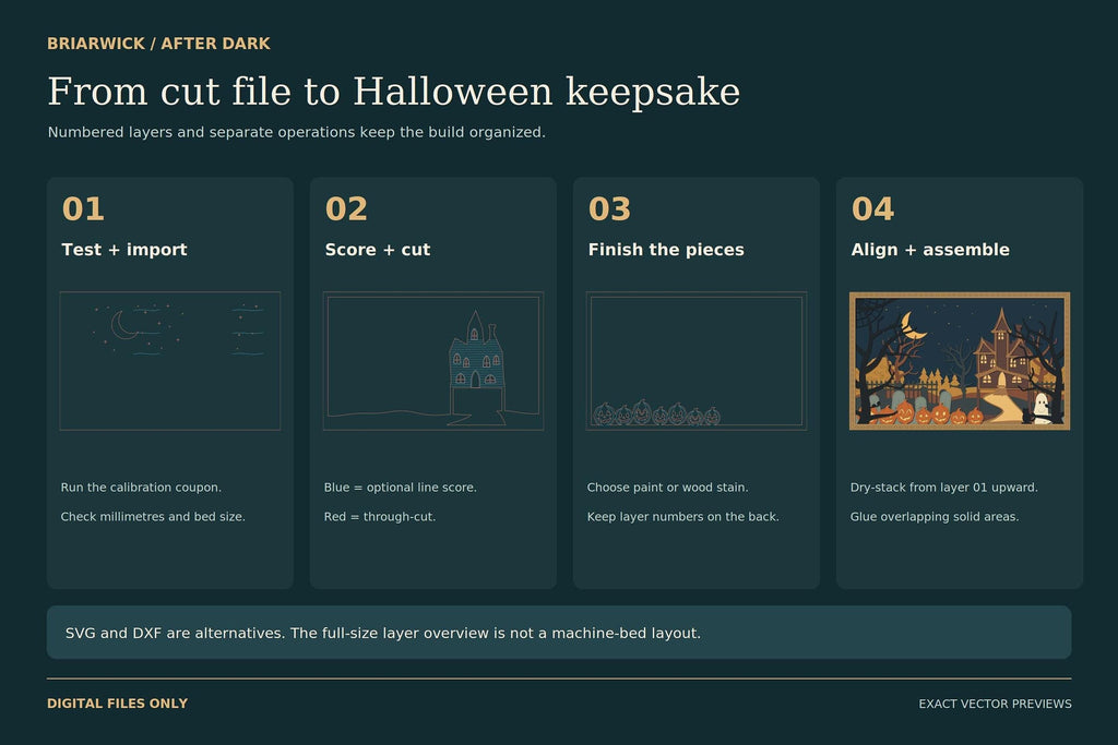 A four-step assembly instruction graphic guides users from testing and importing the digital files to the final glued shadow box assembly.