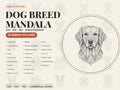 A promotional listing graphic with text reading Dog Breed Mandala and listing 25 included dog breeds next to a golden retriever illustration.